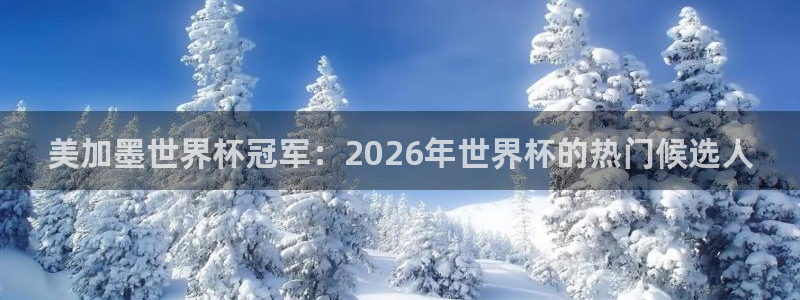 美加墨世界杯冠军：2026年世界杯的热门候选人