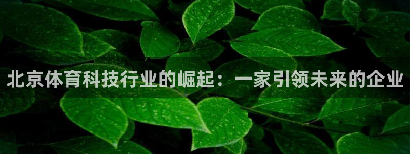 北京体育科技行业的崛起：一家引领未来的企业