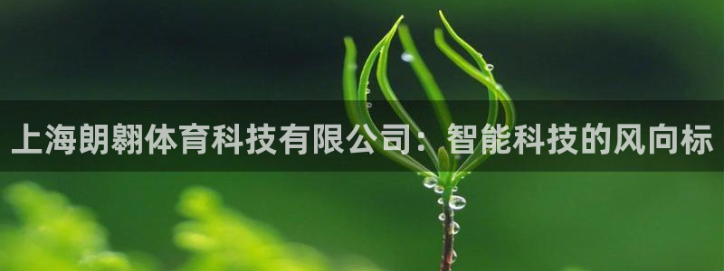 上海朗翱体育科技有限公司：智能科技的风向标