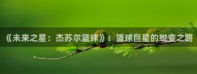 《未来之星：杰苏尔篮球》：篮球巨星的蜕变之路