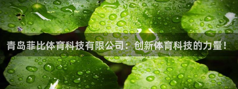 青岛菲比体育科技有限公司：创新体育科技的力量！