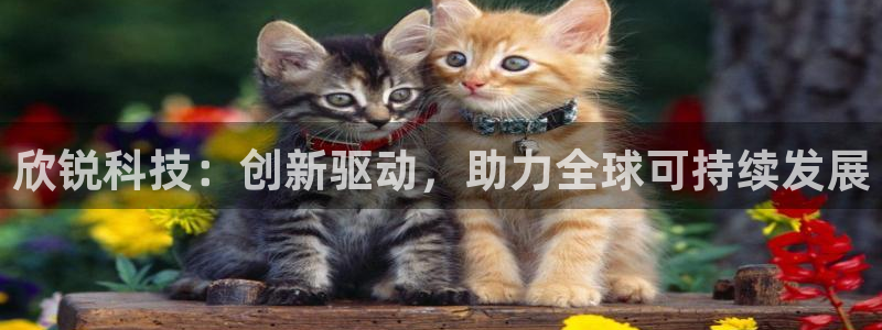 欣锐科技：创新驱动，助力全球可持续发展