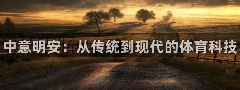 中意明安：从传统到现代的体育科技
