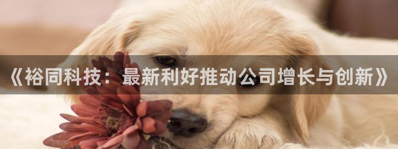 《裕同科技：最新利好推动公司增长与创新》